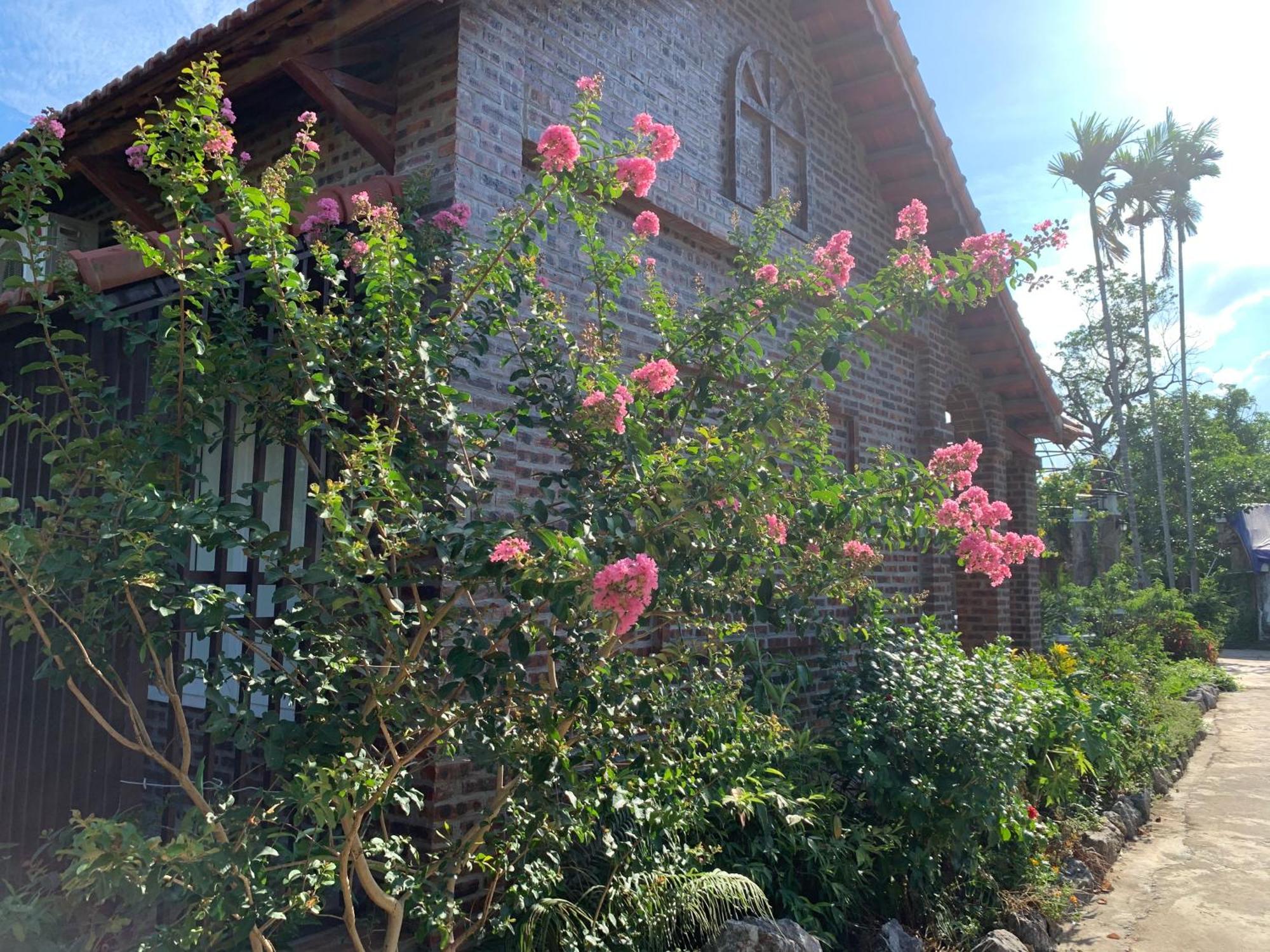 Dinh Gia Home Villa & Resort นิญบิ่ญ ภายนอก รูปภาพ
